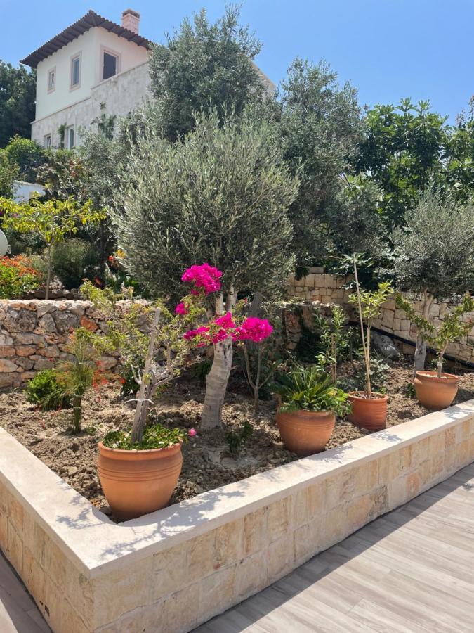 קס Villa Xanthos מראה חיצוני תמונה